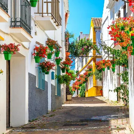 Spectacular 3 Bedroom Penthouse Appartement Casares